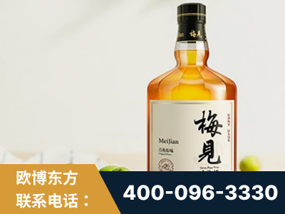 贵溪-梅见青梅酒