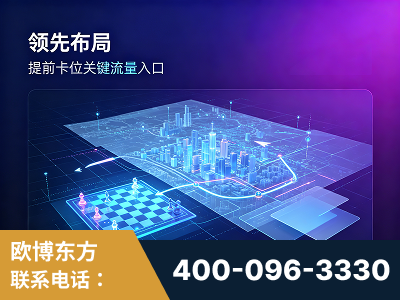 贵溪-领先布局：于2024年初开启GEO业务的公司